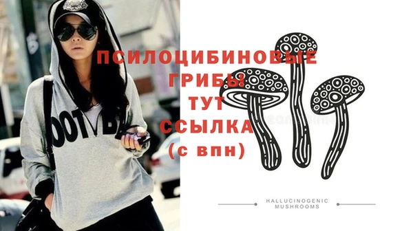 mix Дмитриев